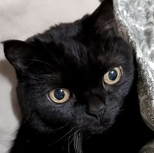 Meet your Posher, Candice